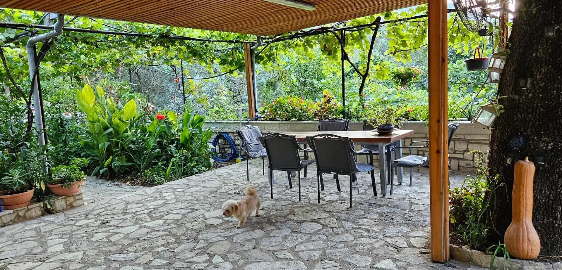 Klejdi'S House Hotel Qeparo Albania