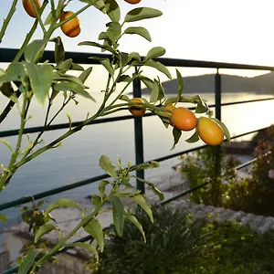 Panorma Guest house